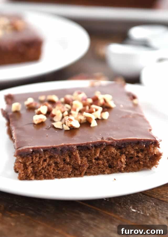 Square of frosted chocolate Texas sheet cake with pecans on top on white plate. A delightful slice of Texas Sheet Cake with optional pecans.