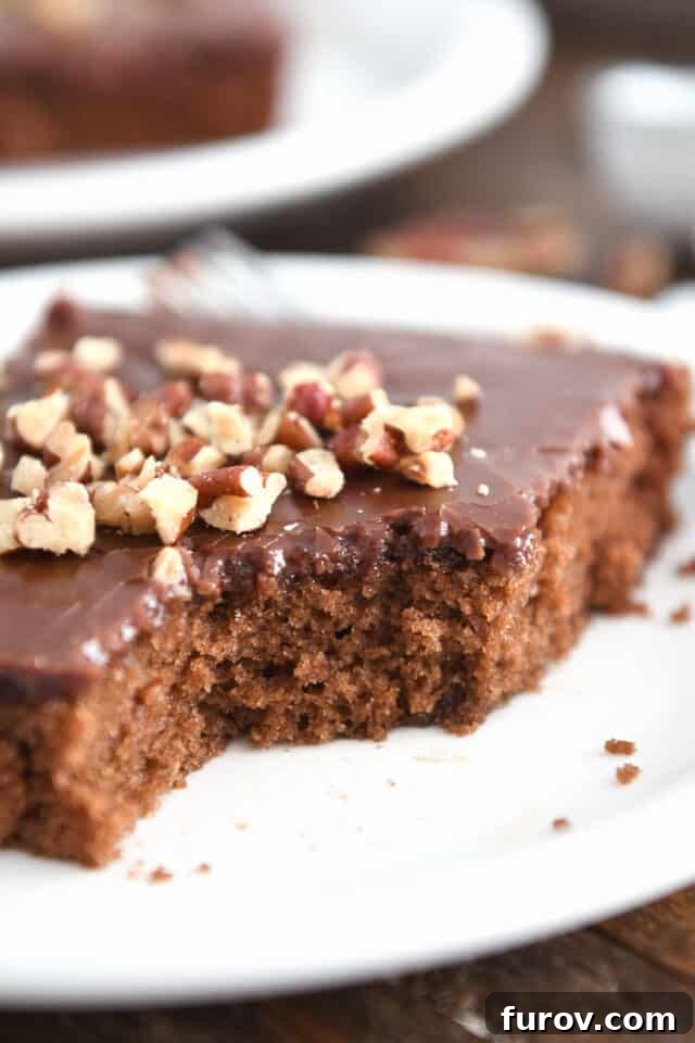 Piece removed from square of chocolate Texas sheet cake on white plate with pecans on top. A tantalizing view of the moist interior of the cake.
