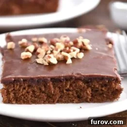 Square of frosted chocolate Texas sheet cake on white plate with pecans on top.