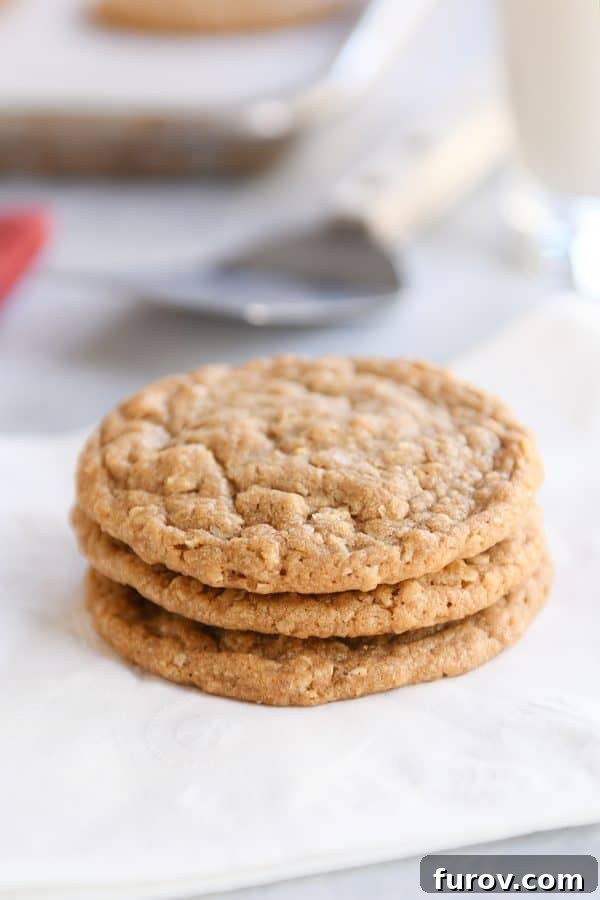 Spiced Gingerbread Cookie Butter Oatmeal Cookies 2 Three gingerbread oatmeal cookies stacked on white napkin.