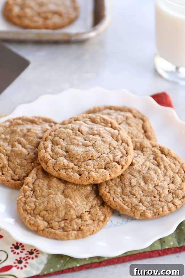 Spiced Gingerbread Cookie Butter Oatmeal Cookies 3 Gingerbread oatmeal cookies on white scalloped plate.