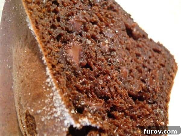 A slice of chocolate bundt cake with chocolate chunks, showcasing its moist texture.