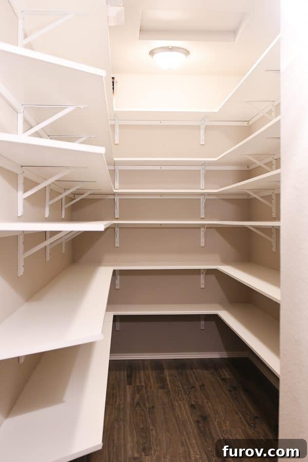 Friday Musings Holiday Detox and Life Updates 4 Spacious Walk-in Pantry Interior