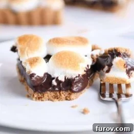 Bite taken out of s'mores pie on white plate with bite on fork.