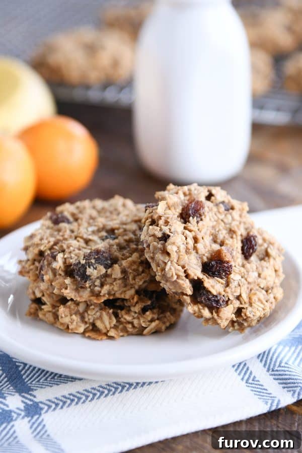 Baked breakfast cookies with raisins on a white plate, ready to be enjoyed as a healthy start to the day or a fulfilling snack.