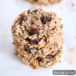 stack of baked healthy breakfast cookies