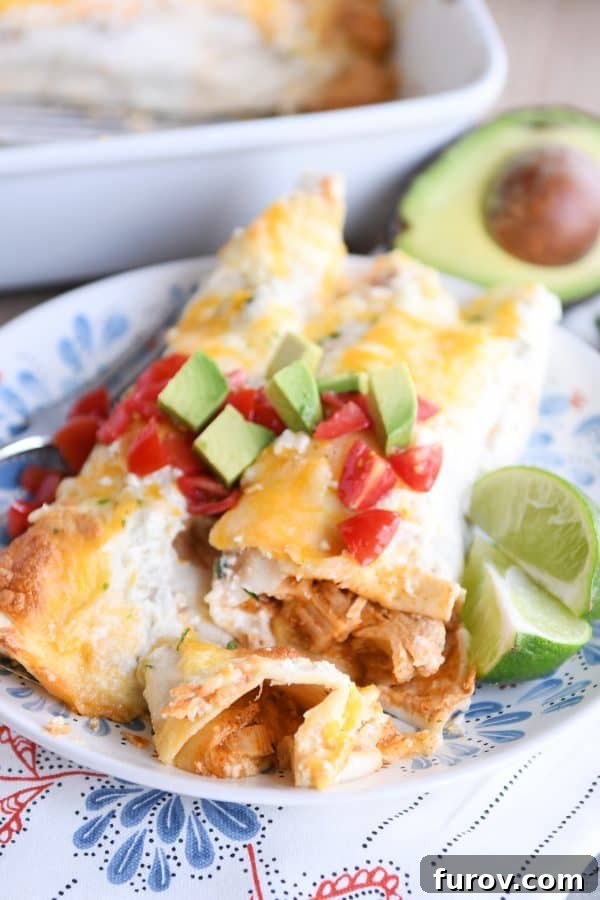 Two honey lime chicken enchiladas on white and blue plate with one bite cut with fork.