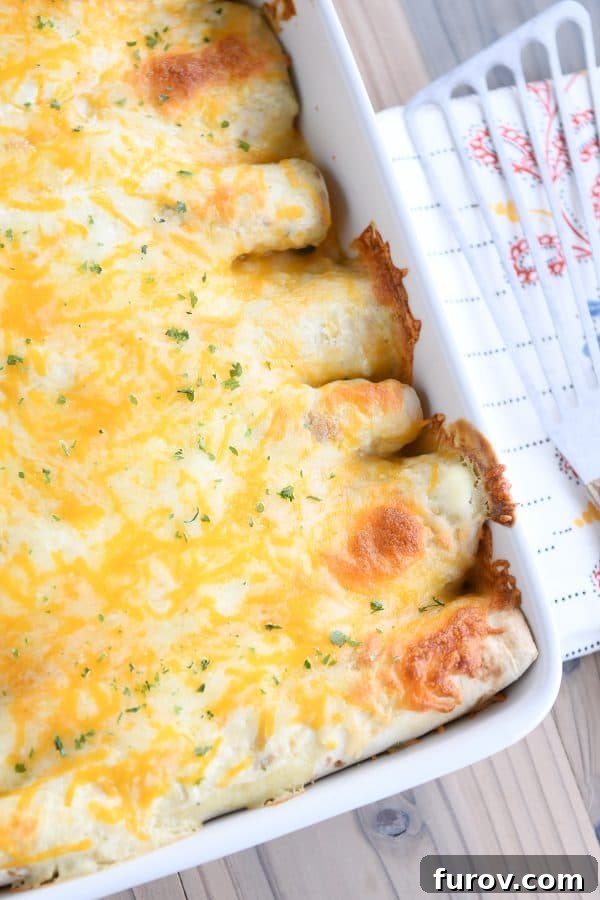 9X13 white pan top down view of honey lime chicken enchiladas smothered in cheese.