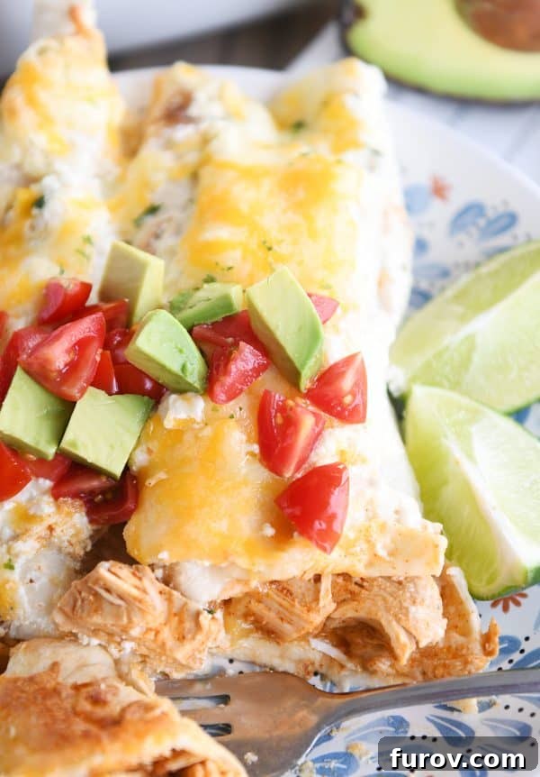 Close up view of bite taken out of one honey lime chicken enchilada on white and blue plate.
