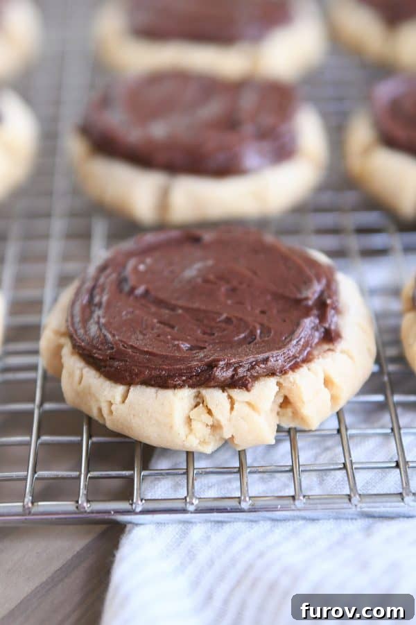 A perfectly baked, soft peanut butter sugar cookie cooling on a wire rack, ready for its fluffy chocolate frosting.
