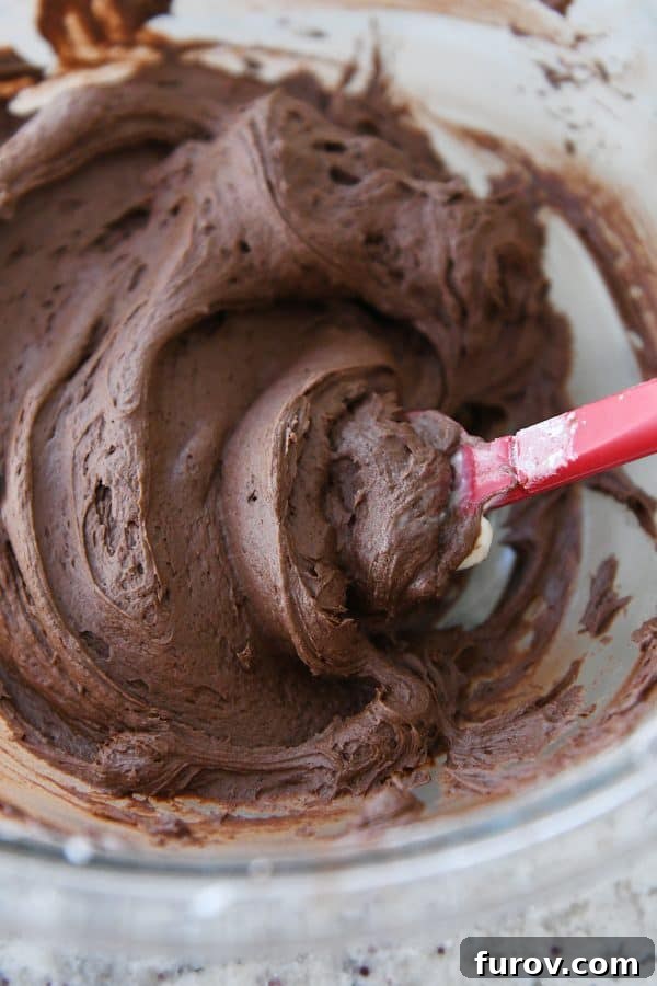 A rich, velvety bowl of homemade fluffy chocolate frosting, ready to adorn freshly baked cookies.