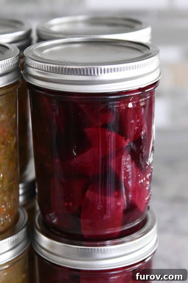 The Essential Home Canning Collection My Best Books Recipes and Resources 3 Close-up of a jar of perfectly pickled beets, showcasing their vibrant color.