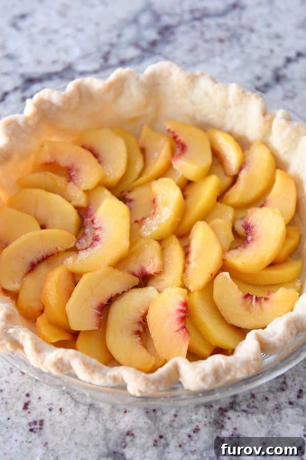 Baked pie shell with sliced fresh peaches evenly placed on the bottom.