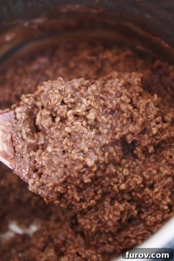 Rich & Dreamy Instant Pot Double Chocolate Steel Cut Oats 5 Scooping double chocolate steel cut oats out of the Instant Pot, showcasing their creamy texture.