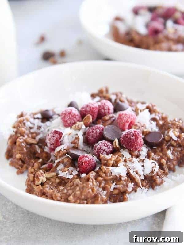 Rich & Dreamy Instant Pot Double Chocolate Steel Cut Oats 7 Double chocolate steel cut oats in a white bowl, generously topped with coconut, chocolate chips, and fresh raspberries.