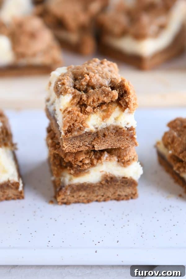Spiced Gingerbread Cheesecake Bars 7 Two perfectly cut gingerbread cookie cheesecake bars, stacked elegantly on a pristine white tray, showcasing their beautiful layers and tempting appeal.