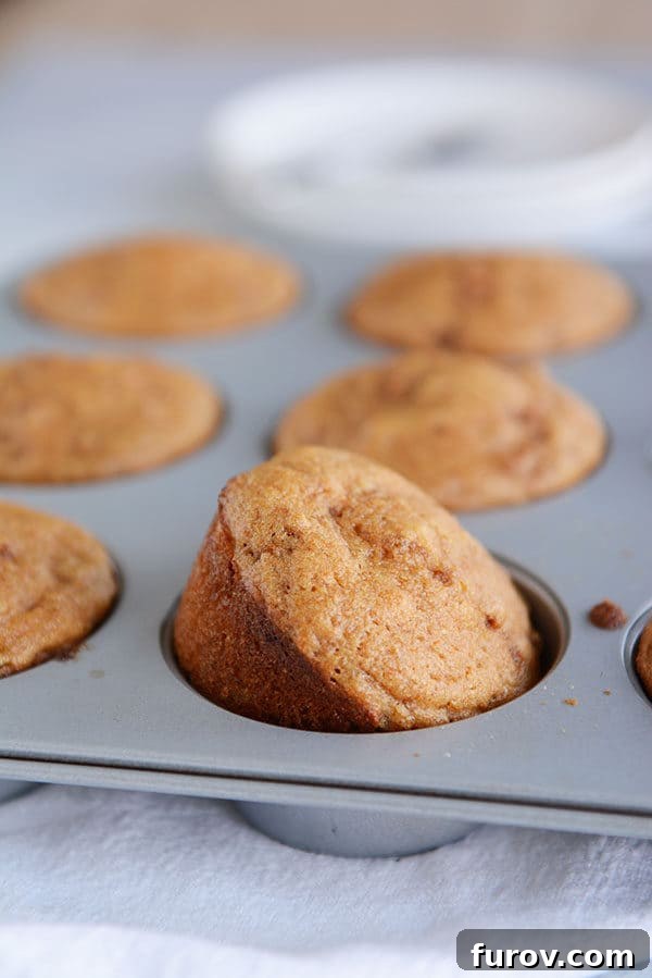A muffin tin full of cooked bran muffins. 