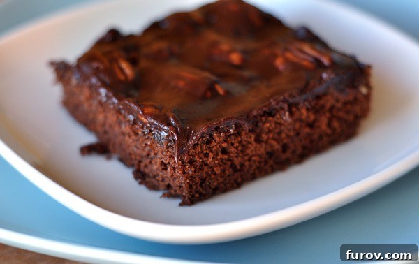 Deep South Chocolate Decadence 3 A pristine white plate holds a generous slice of intensely chocolatey Mississippi mud cake, showcasing its rich texture and glossy glaze.