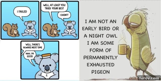 Friday Musings 2 A humorous meme featuring a perpetually tired koala bear, symbolizing overwhelming parental exhaustion.