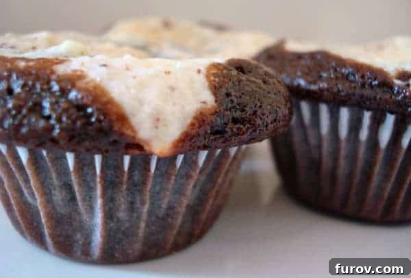 Two black and white cupcakes on a white plate, showcasing the chocolate cake and cream cheese swirl.