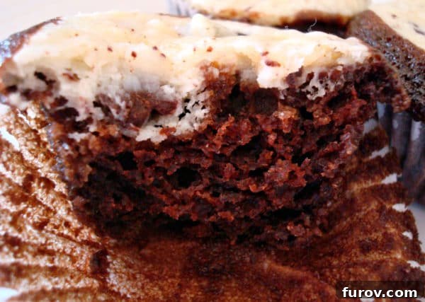 A black and white cupcake with a bite taken out, revealing the distinct chocolate and cream cheese layers.