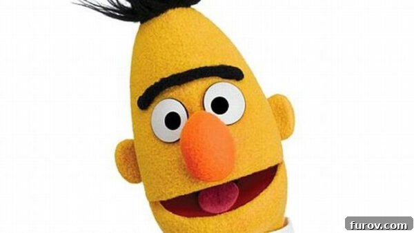 Bert from Sesame Street with his distinct eyebrows, humorously representing a microblading fear.