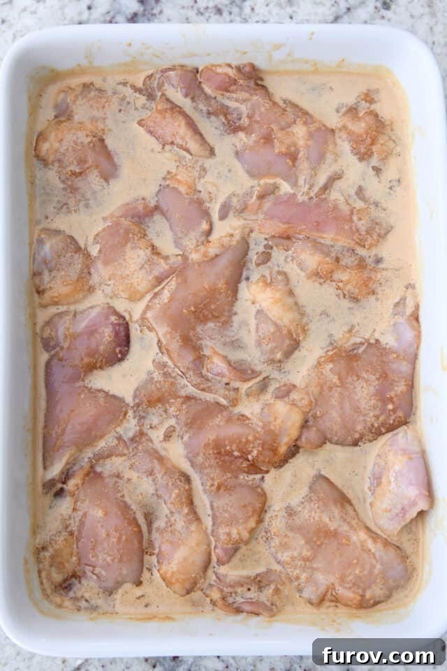Grilled Chicken with Our Signature Teriyaki Glaze 5 Chicken things covered in teriyaki marinade in white dish.