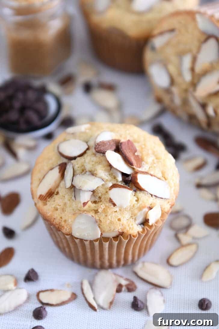 Coconut Almond Bliss Muffins 2 A single almond coconut chocolate chip muffin displayed on a brown paper muffin liner, highlighting its golden-brown top and almond topping.