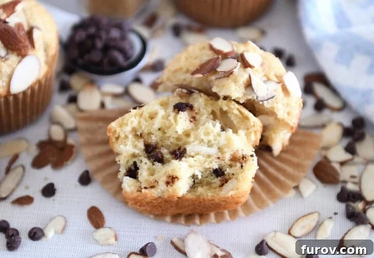 Coconut Almond Bliss Muffins 3 An almond coconut chocolate chip muffin broken in half to show the soft, fluffy interior with coconut flakes and mini chocolate chips.
