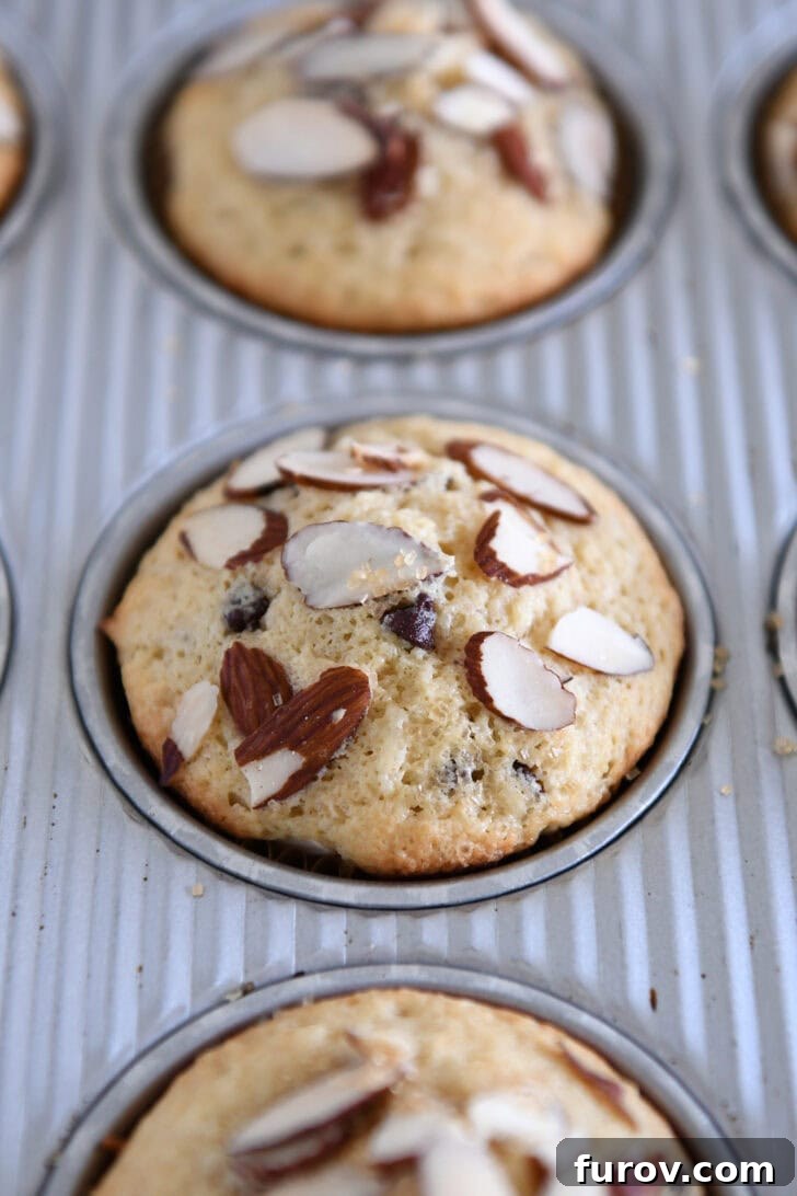 Coconut Almond Bliss Muffins 7 Freshly baked almond coconut chocolate chip muffins in the muffin tin, with golden tops.