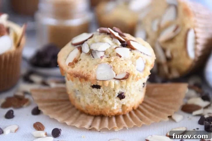 Coconut Almond Bliss Muffins 8 An unwrapped almond coconut chocolate chip muffin next to its brown paper liner, showcasing its perfect texture.