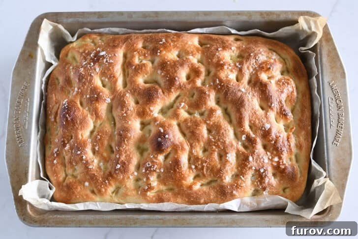 Foolproof No Knead Fluffy Focaccia 11 A top-down view of the perfectly baked golden-brown focaccia bread in the 9x13-inch pan.