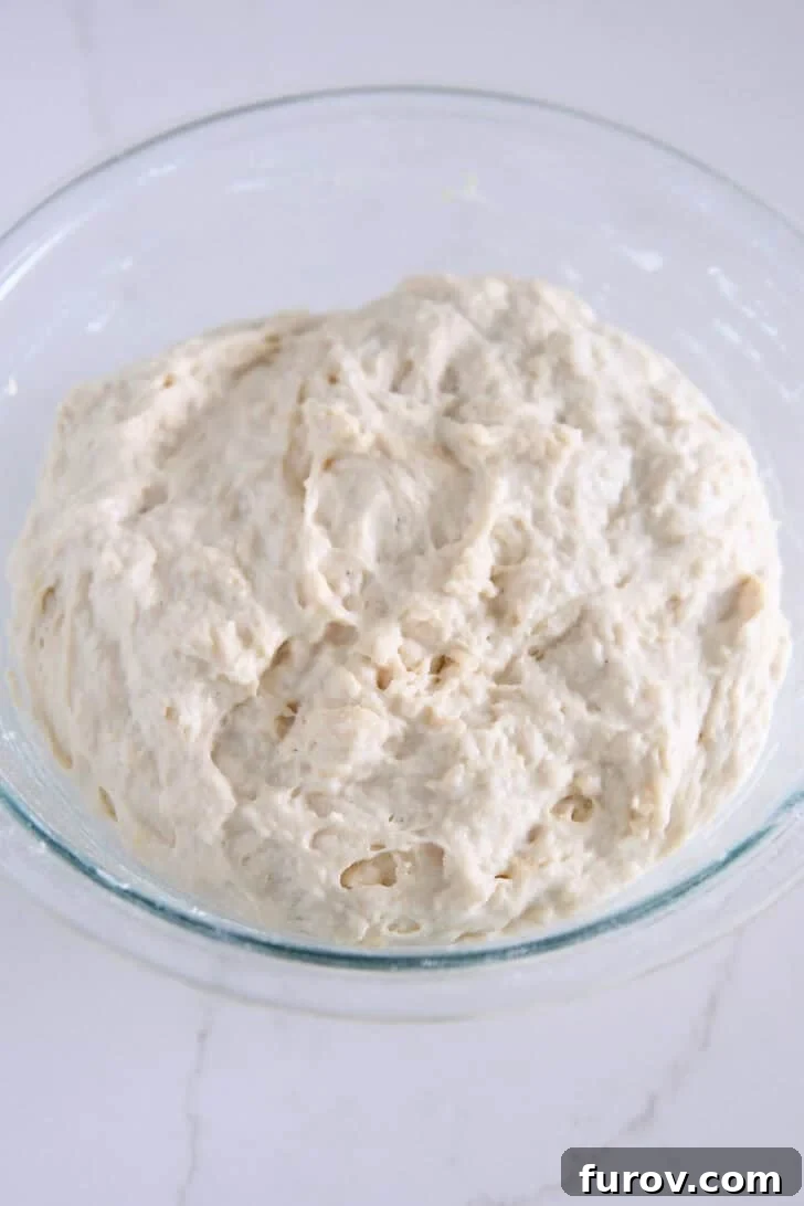 Foolproof No Knead Fluffy Focaccia 13 The wet and sticky focaccia dough after its first short rest, before stretching and folding.