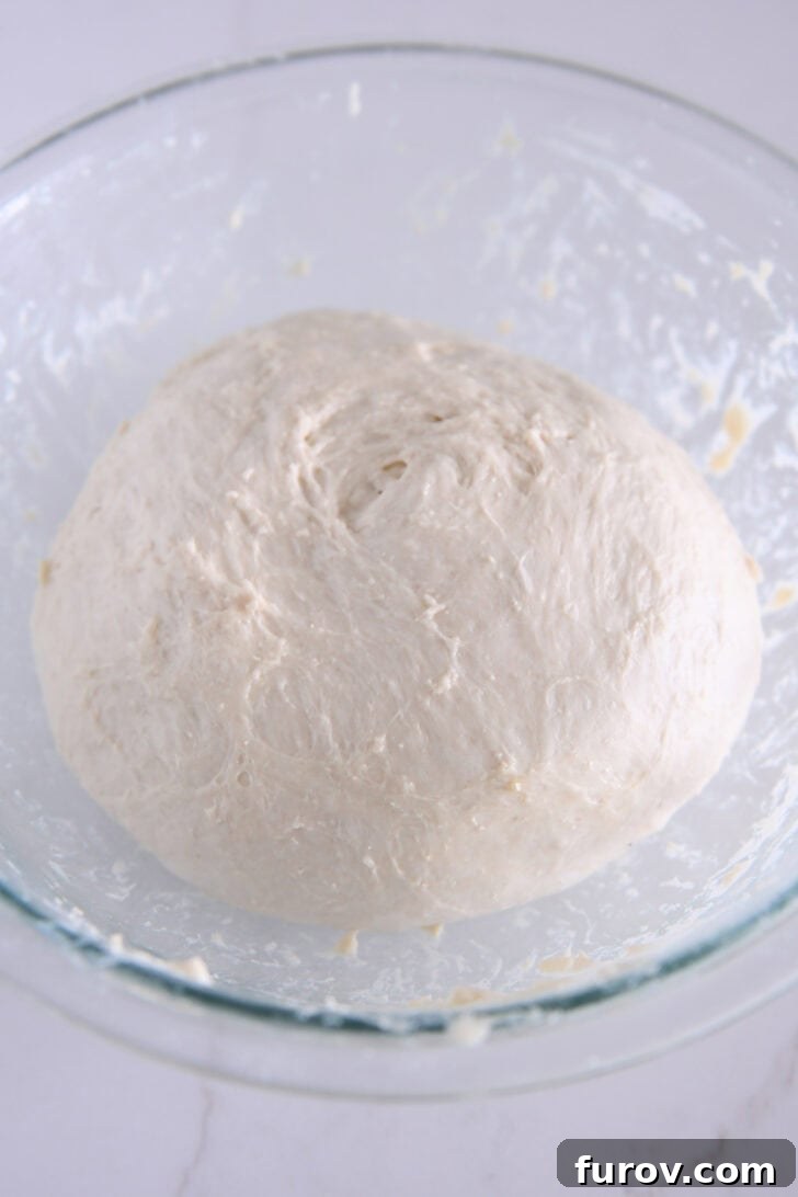 Foolproof No Knead Fluffy Focaccia 15 The smooth, cohesive ball of focaccia dough in a glass bowl after the stretch and fold process.