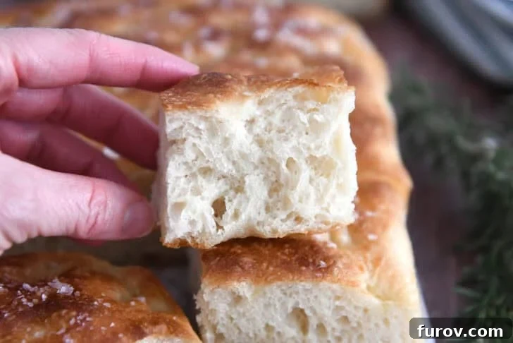 Foolproof No Knead Fluffy Focaccia 16 A slice of fluffy focaccia bread resting on top of the full baked loaf, showing the airy texture.