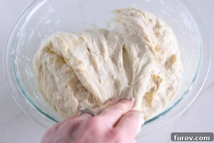 Foolproof No Knead Fluffy Focaccia 7 Folding the focaccia dough over itself in the bowl to build gluten strength.