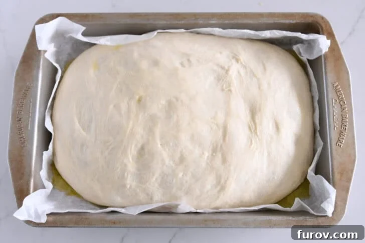 Foolproof No Knead Fluffy Focaccia 8 Puffy, risen focaccia dough filling a parchment-lined 9x13-inch baking pan before dimpling.
