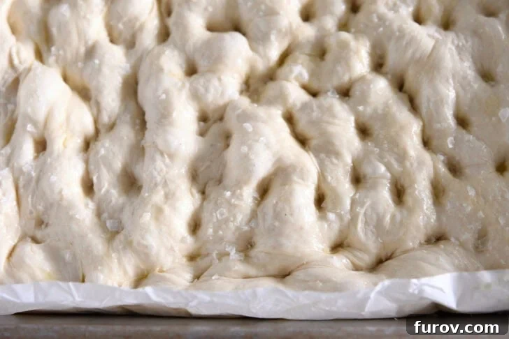 Foolproof No Knead Fluffy Focaccia 10 The fully dimpled and olive oil-topped focaccia dough, ready for baking in a parchment-lined pan.