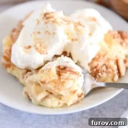 Serving of banana pudding on white plate topped with whipped cream and bite on spoon.