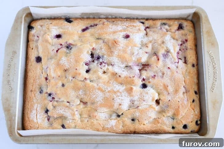 Baked cake with fresh berries spread in 9X13-inch pan and topped with sugar.