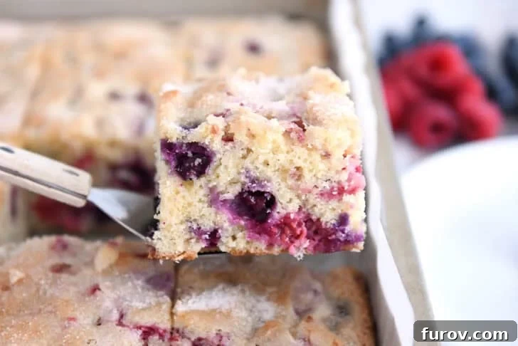 Square of cake with blueberries and raspberries on spatula over cake pan.