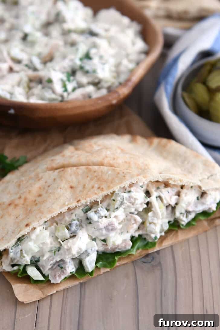 Whole wheat pita bread stuffed with lettuce and dill pickle chicken salad.