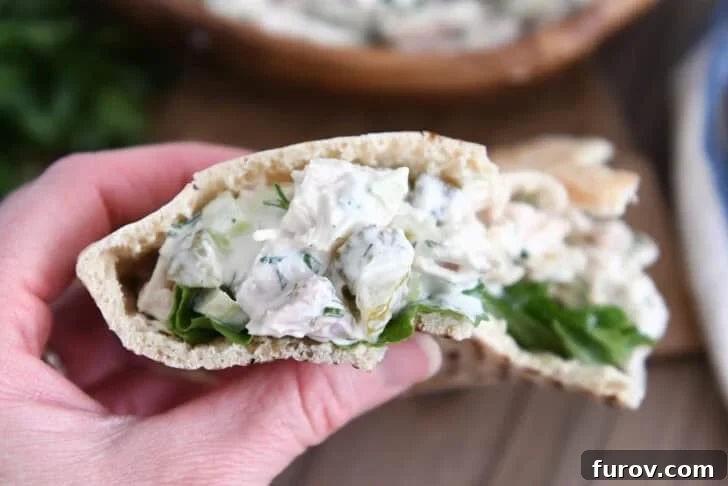 Holding half of a pita bread stuffed with dill pickle chicken salad.