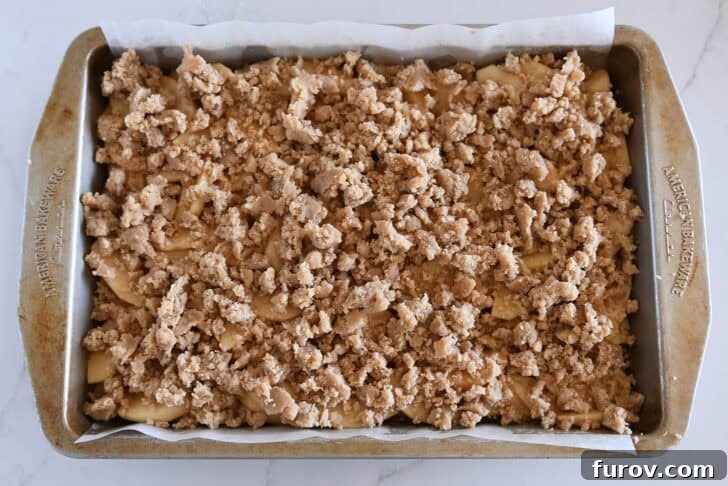 Metal 9X13-inch pan with unbaked layers of crust, sliced apples, and buttery streusel.