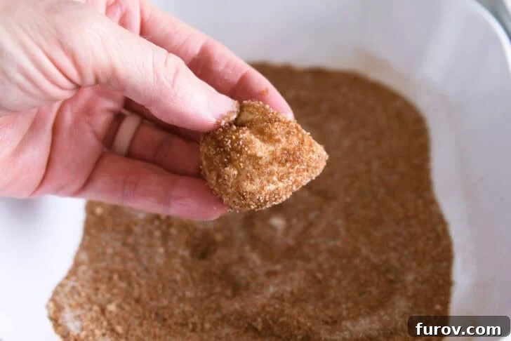 Fluffy Cinnamon Roll Bites Recipe: Soft, Bite-Sized Treats 7 Dipping buttery dough in cinnamon and sugar.