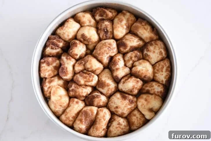 Fluffy Cinnamon Roll Bites Recipe: Soft, Bite-Sized Treats 8 Cinnamon and sugar coated buttery dough in circle baking pan.
